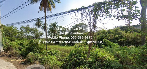 พื้นที่ดิน ขายที่ดินผังเมืองสีชมพู ใกล้ ถ.พุทธมณฑลสาย 7 และถ.บรมราชชนนี 16-2-25 ไร่ ราคา 132.50 ล้านบาท (8 ล้านบาท/ไร่)