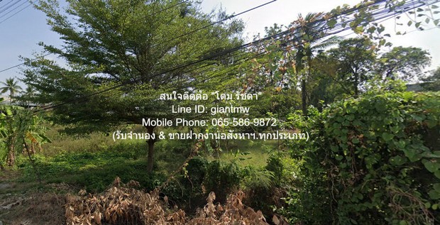 พื้นที่ดิน ขายที่ดินผังเมืองสีชมพู ใกล้ ถ.พุทธมณฑลสาย 7 และถ.บรมราชชนนี 16-2-25 ไร่ ราคา 132.50 ล้านบาท (8 ล้านบาท/ไร่)