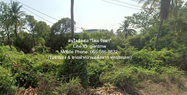 พื้นที่ดิน ขายที่ดินผังเมืองสีชมพู ใกล้ ถ.พุทธมณฑลสาย 7 และถ.บรมราชชนนี 16-2-25 ไร่ ราคา 132.50 ล้านบาท (8 ล้านบาท/ไร่)