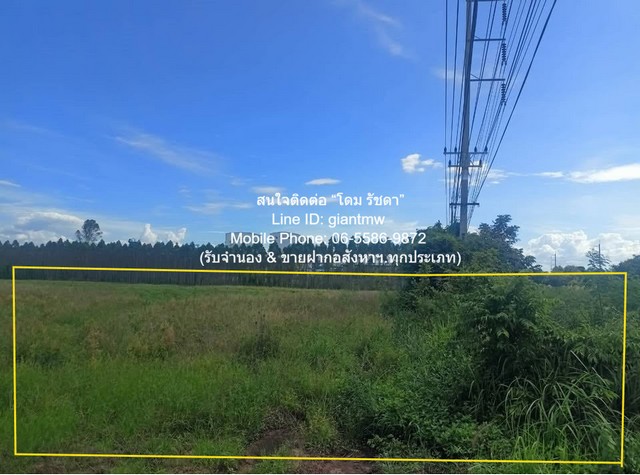 ที่ดิน ขายที่ดินเปล่า ติดถนนสุวรรณศร กบินทร์บุรี จ.ปราจีนบุรี 10 ไร่ ราคา 24 ล้านบาท (2.4 ล้านบาท/ไร่) 10 Rai 0 Ngan 0 ต