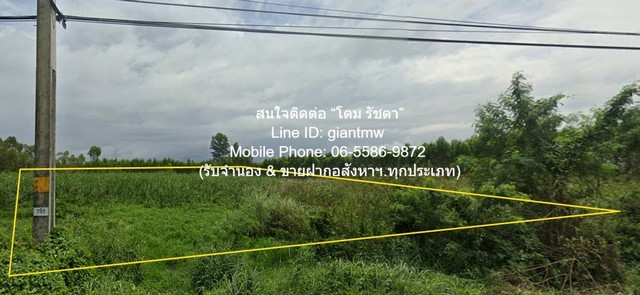 ที่ดิน ขายที่ดินเปล่า ติดถนนสุวรรณศร กบินทร์บุรี จ.ปราจีนบุรี 10 ไร่ ราคา 24 ล้านบาท (2.4 ล้านบาท/ไร่) 10 Rai 0 Ngan 0 ต