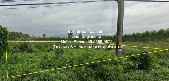 ที่ดิน ขายที่ดินเปล่า ติดถนนสุวรรณศร กบินทร์บุรี จ.ปราจีนบุรี 10 ไร่ ราคา 24 ล้านบาท (2.4 ล้านบาท/ไร่) 10 Rai 0 Ngan 0 ต