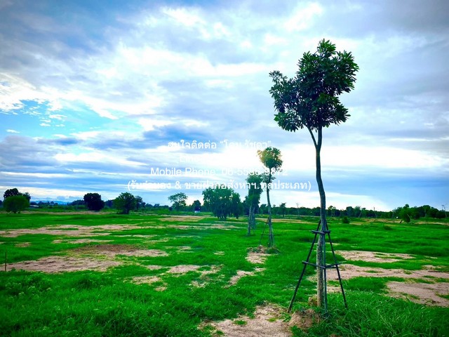 พื้นที่ดิน ขายที่ดินจัดสรรแปลงใหญ่ พร้อมทะเลสาบ (ติดถนนหลัก และติดถนนรอง) อู่ทอง จ.สุพรรณบุรี 60-3-0 ไร่ ราคา 23 ล้าน ไม