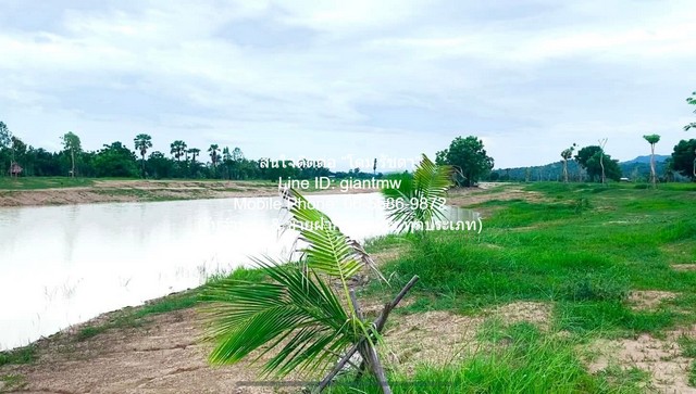 พื้นที่ดิน ขายที่ดินจัดสรรแปลงใหญ่ พร้อมทะเลสาบ (ติดถนนหลัก และติดถนนรอง) อู่ทอง จ.สุพรรณบุรี 60-3-0 ไร่ ราคา 23 ล้าน ไม