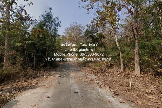 ที่ดิน ขายที่ดินเปล่าขนาดเล็ก (แปลงหัวมุม) 99 ตร.ว. อ.สันป่าตอง จ.เชียงใหม่ ราคา 600,000 บาท 99 ตาราง-วา 0 NGAN 0 ไร่ 60