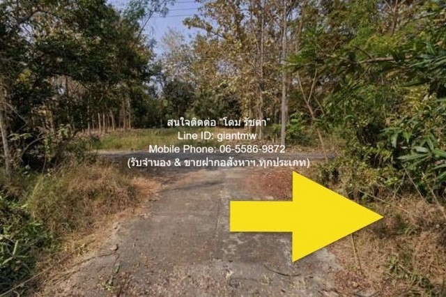ที่ดิน ขายที่ดินเปล่าขนาดเล็ก (แปลงหัวมุม) 99 ตร.ว. อ.สันป่าตอง จ.เชียงใหม่ ราคา 600,000 บาท 99 ตาราง-วา 0 NGAN 0 ไร่ 60