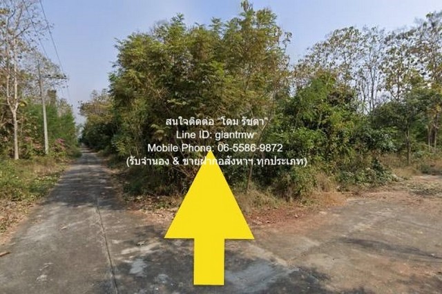 ที่ดิน ขายที่ดินเปล่าขนาดเล็ก (แปลงหัวมุม) 99 ตร.ว. อ.สันป่าตอง จ.เชียงใหม่ ราคา 600,000 บาท 99 ตาราง-วา 0 NGAN 0 ไร่ 60