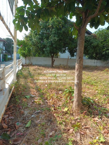 ที่ดิน ขายที่ดินเปล่าถมแล้ว ซ.ลาดพร้าว 94 (ตรงข้ามห้างอิมพิเรียล เวิลด์ ลาดพร้าว) 88 ตร.ว. ราคา 15 ล้านบาท (โอนฟรี) ใหญ่