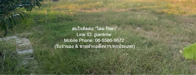 ขายด่วน! พื้นที่ดิน ขายที่ดินเปล่าถมแล้ว และมีรั้วแล้ว (ใกล้ตลาดเวิลด์มาร์เก็ต) 200 ตร.ว. ราคา 6 ล้านบาท 6000000 thb ใกล