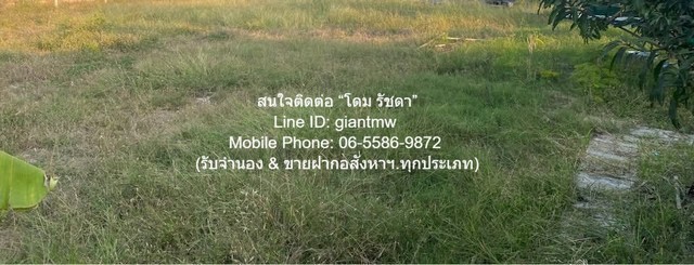 DSL-924.2 Sale พื้นที่ดิน ขายที่ดินเปล่าถมแล้ว และมีรั้วแล้ว (ใกล้ตลาดเวิลด์มาร์เก็ต) 100 ตร.ว. ราคา 3 ล้านบาท 3000000 บ