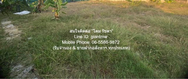 DSL-924.2 Sale พื้นที่ดิน ขายที่ดินเปล่าถมแล้ว และมีรั้วแล้ว (ใกล้ตลาดเวิลด์มาร์เก็ต) 100 ตร.ว. ราคา 3 ล้านบาท 3000000 บ