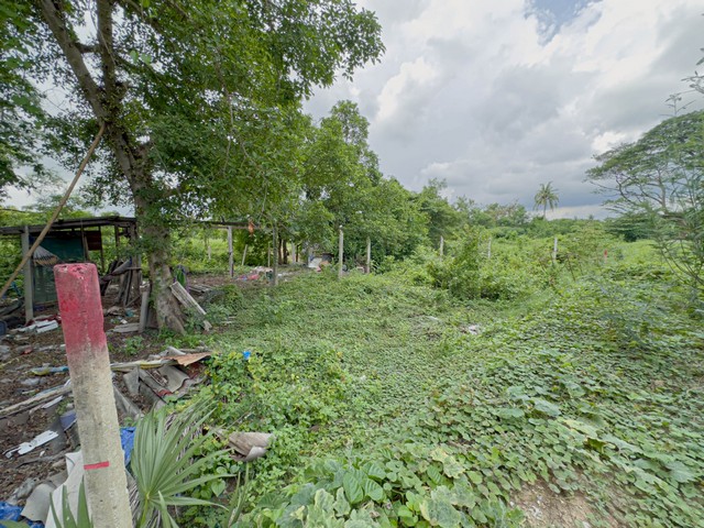 ที่ดินปากเกร็ด 85 ตร.วา ทำเลดี ราคาต่ำกว่าตลาด ใกล้รถไฟฟ้าสีชมพูใกล้วัดป่าเลไลย์ ปากเกร็ด นนทบุรี