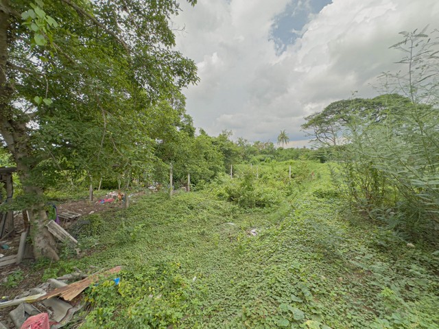 ที่ดินปากเกร็ด 85 ตร.วา ทำเลดี ราคาต่ำกว่าตลาด ใกล้รถไฟฟ้าสีชมพูใกล้วัดป่าเลไลย์ ปากเกร็ด นนทบุรี