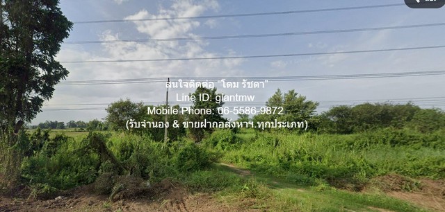 ขายที่ดินเปล่าถมแล้ว บึงพระ จ.พิษณุโลก ติดถนนเลี่ยงเมืองพิษณุโลก 8-3-83 ไร่ ราคา 25 ล้านบาท