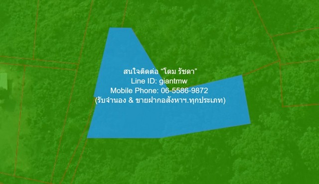 ขายที่ดินเปล่า 2-0-64.1 ไร่ ท่าโพธิ์ จ.พิษณุโลก ราคา 1.60 ล้านบาท