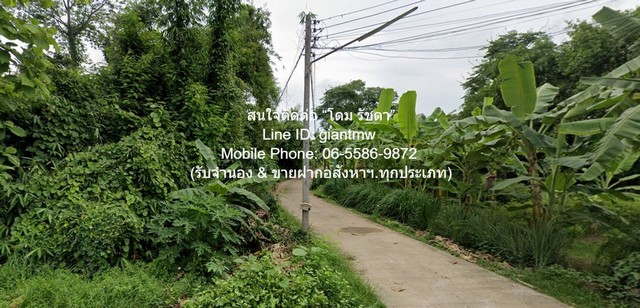 ขายที่ดินเปล่า 2-0-64.1 ไร่ ท่าโพธิ์ จ.พิษณุโลก ราคา 1.60 ล้านบาท