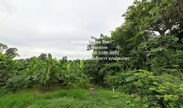 ขายที่ดินเปล่า 2-0-64.1 ไร่ ท่าโพธิ์ จ.พิษณุโลก ราคา 1.60 ล้านบาท