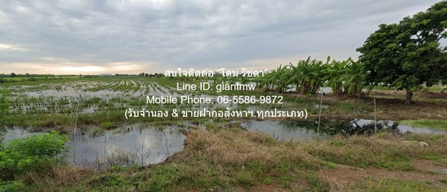 ขายที่ดินทุ่งนา 103-0-44 ไร่ ศรีจุฬา อ.เมืองนครนายก นครนายก ราคา 31 ล้านบาท