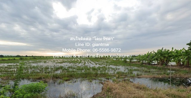ขายที่ดินทุ่งนา 103-0-44 ไร่ ศรีจุฬา อ.เมืองนครนายก นครนายก ราคา 31 ล้านบาท