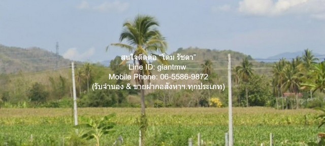 ขายที่ดินเปล่า หนองหญ้าปล้อง จ.เพชรบุรี (ใกล้ทางหลวง 3510 และ 1015) 32-0-76 ไร่ ราคา 17 ล้านบาท