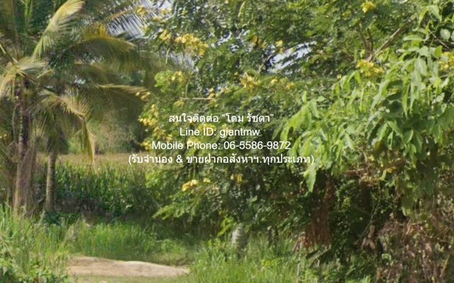 ขายที่ดินเปล่า หนองหญ้าปล้อง จ.เพชรบุรี (ใกล้ทางหลวง 3510 และ 1015) 32-0-76 ไร่ ราคา 17 ล้านบาท
