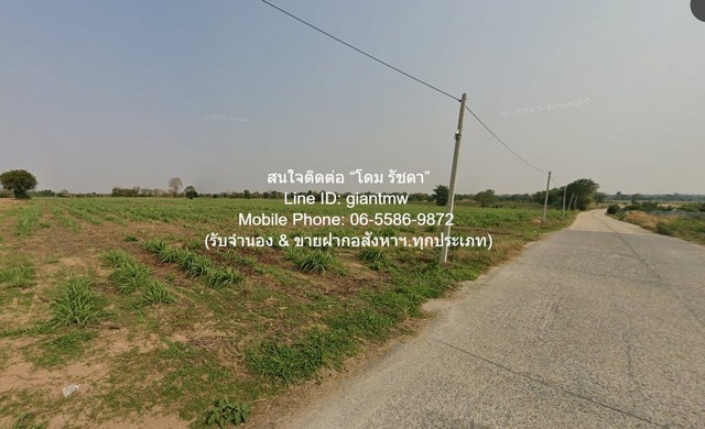 ขายที่ดินเกษตรกรรม สีคิ้ว (สูงเนิน และด่านขุนทด) ใกล้ถนนมอเตอร์เวย์ M6 (บางปะอิน-หนองคาย) 10 ไร่ ราคา 5 ล้านบาท