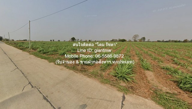 ขายที่ดินเกษตรกรรม สีคิ้ว (สูงเนิน และด่านขุนทด) ใกล้ถนนมอเตอร์เวย์ M6 (บางปะอิน-หนองคาย) 10 ไร่ ราคา 5 ล้านบาท