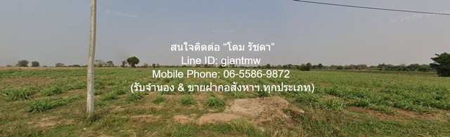 ขายที่ดินเกษตรกรรม สีคิ้ว (สูงเนิน และด่านขุนทด) ใกล้ถนนมอเตอร์เวย์ M6 (บางปะอิน-หนองคาย) 10 ไร่ ราคา 5 ล้านบาท