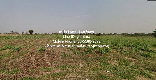 ขายที่ดินเกษตรกรรม สีคิ้ว (สูงเนิน และด่านขุนทด) ใกล้ถนนมอเตอร์เวย์ M6 (บางปะอิน-หนองคาย) 10 ไร่ ราคา 5 ล้านบาท