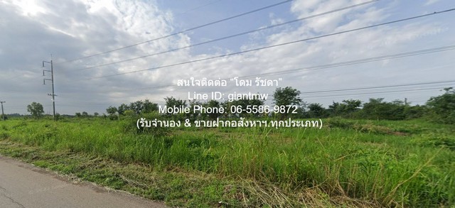 ขายบ้านพร้อมที่ดินสวนมะพร้าว มะม่วง บึงพระ จ.พิษณุโลก ติดถนนเลี่ยงเมืองพิษณุโลก 56-0-17 ไร่ ราคา 199 ล้านบาท