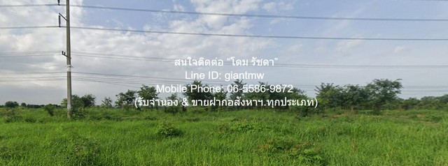 ขายบ้านพร้อมที่ดินสวนมะพร้าว มะม่วง บึงพระ จ.พิษณุโลก ติดถนนเลี่ยงเมืองพิษณุโลก 56-0-17 ไร่ ราคา 199 ล้านบาท