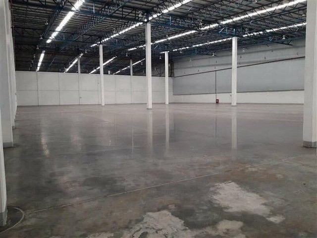 ให้เช่าโกดังคลังสินค้าบางปะกงฉะเชิงเทรา พื้นที่ขนาด 1,500 1,600 ตรม.ออฟฟิศ 2 ชั้น