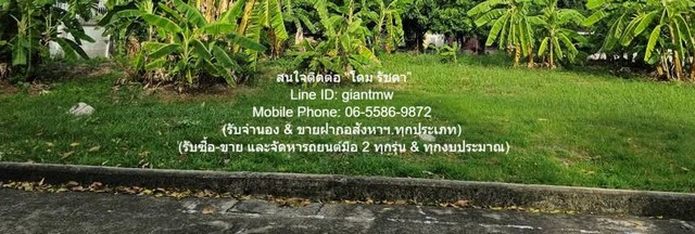ขายที่ดินเปล่าถมแล้ว (แปลงหัวมุม) ในหมู่บ้านจัดสรร 116.30 ตร.ว. แถวสะพานใหม่ (BTS สายหยุด) ราคา 7.9 ล้าน