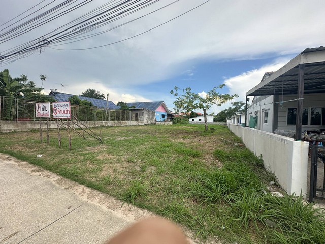 ขายที่ดินตัวเมืองพนัสนิคม บนเนื้อที่ 287 ตรว.เหมาะสำหรับ:ปลูกบ้าน, หอพัก, บ้านจัดสรร, แบ่งล็อค