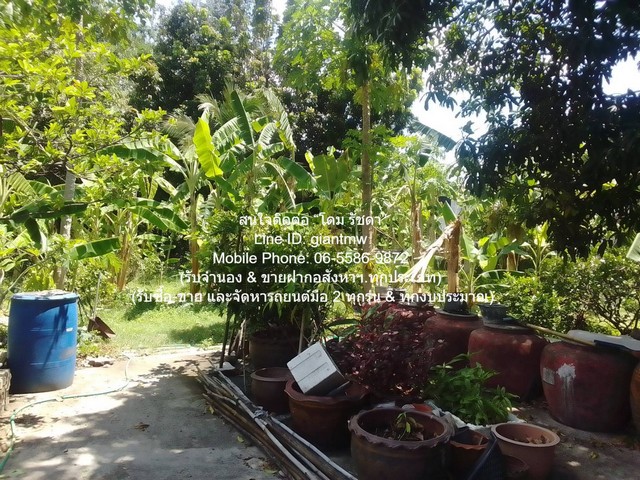 ขายอาคารที่พักอาศัย และสำนักงาน 10 ชั้น พร้อมที่ดินเปล่า และกิจการให้เช่าอื่น ๆ 2-1-19 ไร่ ถนนนครอินทร์ นนทบุรี ราคา 130