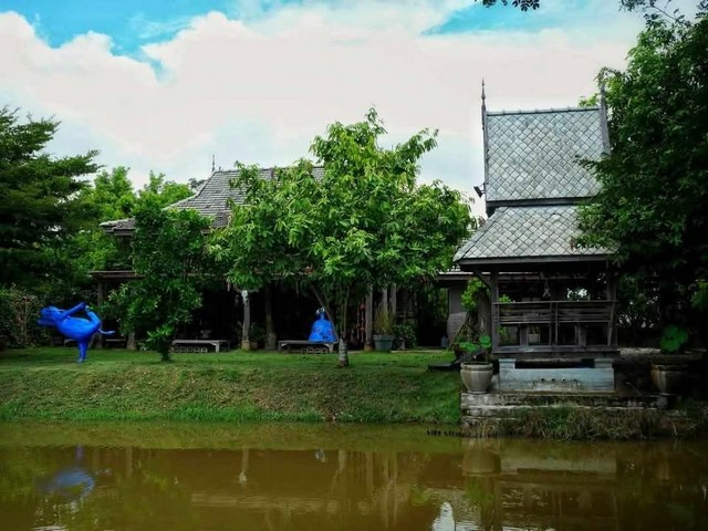 ขายที่ดิน 2-1-0 ไร่ บ้านธิ ลำพูน ใกล้สนามบินใหม่ เหมาะทำรีสอร์ต-เวิร์กช็อป-คาเฟ่ วิวพาโนรามา เพียง 13 ล้าน