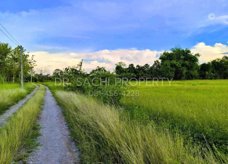 ขายที่ดิน 5-3-66.2 ไร่ ใกล้ศูนย์ราชการ หลังสนามบิน เชียงราย