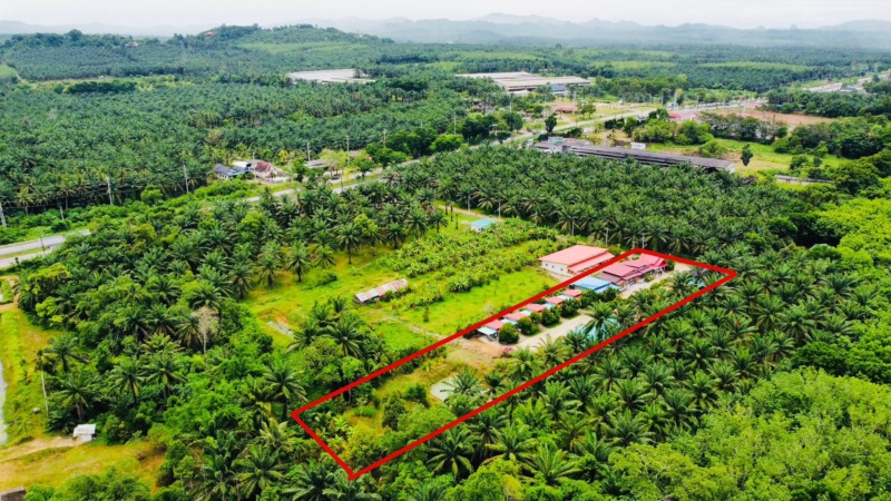 ขายกิจการ รีสอร์ท+บ้าน ท่าแซะ ชุมพร