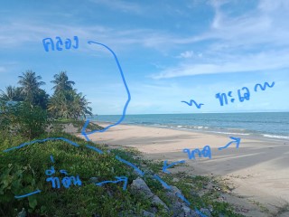 สนใจทักด่วน รับไปเลยส่วนลด จุกๆ  เกือบ 2 ล้าน  เช่า ขาย ที่ติดทะเล สงขลา ระโนด 1ไร่ 24วา 081-3755244 เหมาะทำรีสอร์ต ร้านอาหาร บ้านพักส่วนตัว