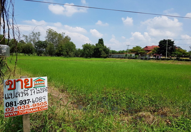 ขายที่ดิน หน้าเทศบาลสนามชัยเขต ฉะเชิงเทรา เนื้อที่ 17-2-87 ไร่ ทำเลดี ติดถนนใหญ่