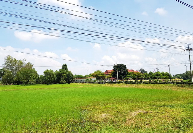 ขายที่ดิน หน้าเทศบาลสนามชัยเขต ฉะเชิงเทรา เนื้อที่ 17-2-87 ไร่ ทำเลดี ติดถนนใหญ่
