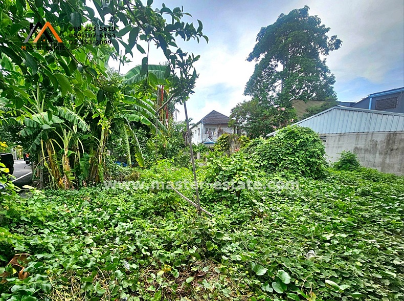 ที่ดินเปล่า 195.6 ตร.ว. แปลงมุม สวยมาก ติดถนนไทรบุรี จ.สงขลา หน้ากว้างประมาณ 20 M. x ลึก 45 M. ปัจจุบันมีผู้เช่าที่ดินขายอาหาร