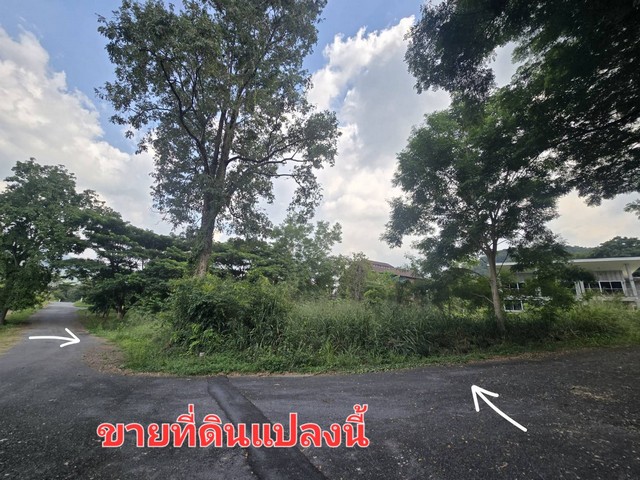 ที่ดิน ภูภัทรา เขาใหญ่ สะดวกต่อการเดินทาง แปลงมุม, ทำเลดี, ติดถนน 2 ด้าน