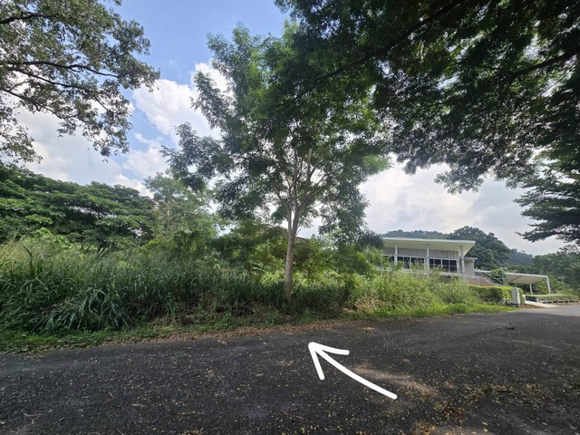 ที่ดิน ภูภัทรา เขาใหญ่ สะดวกต่อการเดินทาง แปลงมุม, ทำเลดี, ติดถนน 2 ด้าน