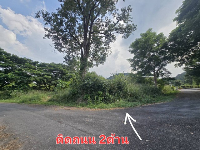 ที่ดิน ภูภัทรา เขาใหญ่ สะดวกต่อการเดินทาง แปลงมุม, ทำเลดี, ติดถนน 2 ด้าน