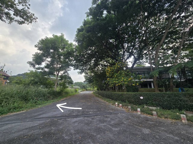 ที่ดิน ภูภัทรา เขาใหญ่ สะดวกต่อการเดินทาง แปลงมุม, ทำเลดี, ติดถนน 2 ด้าน