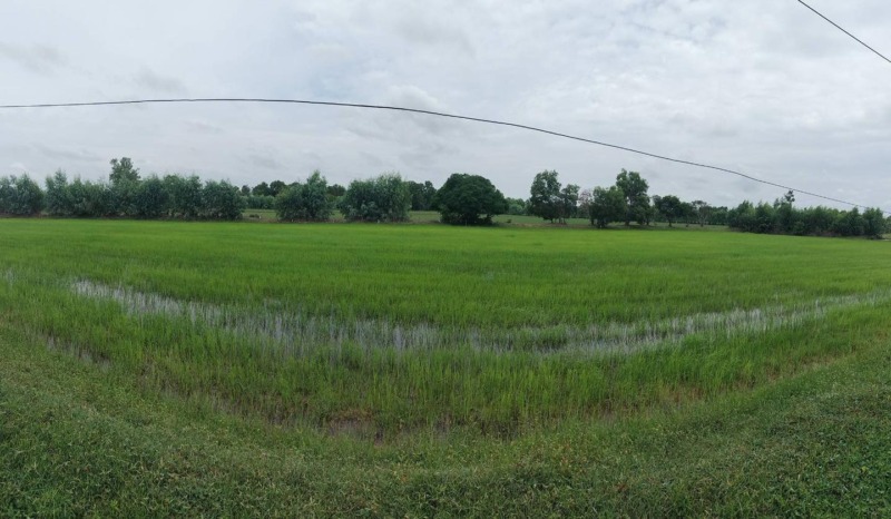 ขายที่นา 33 ไร่ บ้านส้มโฮง สุวรรณภูมิ ร้อยเอ็ด ไร่ละ 180,000 ถูกมาก! เอกสารพร้อมโอน