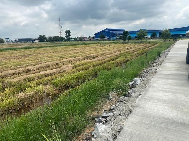 ขายที่ดิน 40 ไร่ เขต EEC ถมที่ดินให้ฟรี เสมอถนนคลองอุดมชลจร เมืองฉะเชิงเทรา เหมาะสร้างโรงงานทุกประเภท