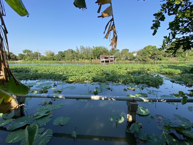ขายที่ดินติดถนน4เลนด้านหลังติดคลองนราภิรมย์399.7 ตร.ว.ย่านนครปฐมศาลายาพุทธมณฑล