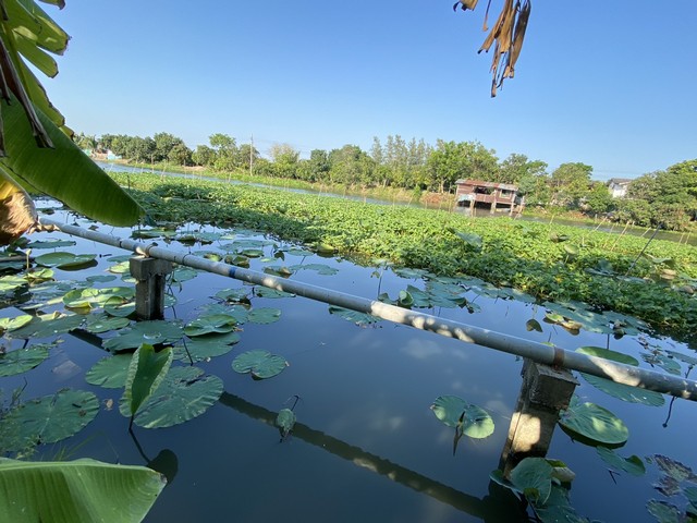 ขายที่ดินย่านนครปฐมศาลายาติดถนน4เลนใกล้ร.ร.พระตำหนักสวนกุหลาบตลาดกิเลน